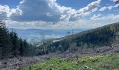 Tour Wandern Arconsat - Montlune par La Meule - Photo 3