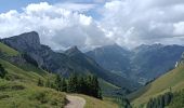 Randonnée Marche Le Grand-Bornand - Aiguille vertr, Lac de Lessy - Photo 4
