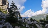 Tocht Stappen Auronzo di Cadore - DOLOMITES 07 - Lavaredo - Mirusina - Photo 11