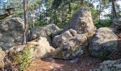 Randonnée Marche Fontainebleau - Fontainebleau sentier Denecourt 10 - Photo 14