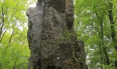 Tour Zu Fuß Kirchensittenbach - Vorra Bhf. – Kleedorf - Photo 7