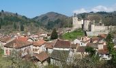 Excursión Senderismo Châteldon - Chateldon_Bois_Noirs - Photo 1