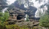 Trail Horseback riding Oberhaslach - 2020-08-30 Picnic CVA Rocher de Mutzig - Photo 1