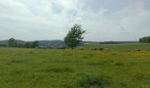 Tocht Mountainbike Virton - Monquintin  -  Balade_VTT_22Kms - Photo 13