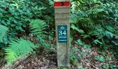 Tour Wandern Tervuren - Arboretum tra Nuovo e Vecchio mondo (castanea dentata) - Photo 8