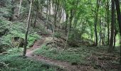 Randonnée A pied Berdorf - AP Grundhof Hiking Tour - Photo 3