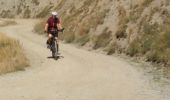 Tocht Elektrische fiets Les Deux Alpes - plateau d'Emparis  - Photo 3