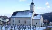 Tour Zu Fuß Gemeinde St. Corona am Wechsel - Orthof - Herrgottschnitzerhütte - St. Peter - Photo 7