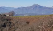 Randonnée Marche Ainhoa - Ainhoa. Col de 3 croix - Photo 2