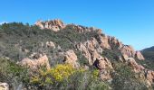 Tour Wandern Mandelieu-la-Napoule - 20230408agay - Photo 1