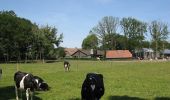 Tour Zu Fuß Barneveld - Glindhorsterpad (Klompenpad groen) - Photo 2
