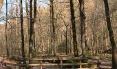Trail Walking Aywaille - 220307 Ninglinspo - Photo 13