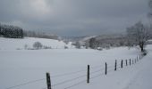 Excursión A pie Meschede - Wanderweg Freienohl-Hellefeld - Photo 2