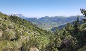 Tour Wandern Gresse-en-Vercors - Quinquambaye - crête du Brisou - Photo 13