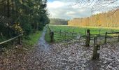 Trail Walking Oud-Heverlee - Zoete Water Meerdael 14,2 km - Photo 1