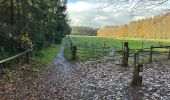 Tocht Stappen Oud-Heverlee - Zoete Water Meerdael 14,2 km - Photo 1