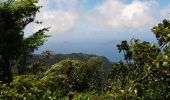 Trail Walking Saint-Claude - La Soufrière - Photo 1