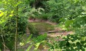 Trail Walking Seraing - bois de la vequée par les petits chemins (version courte) - Photo 10