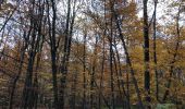 Trail Walking Saint-Germain-en-Laye - Château du Val 24 11 2019 - Photo 6