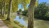 Tour Radtourismus  Toulouse - Canal du midi étape 1 - Photo 2