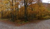 Trail Walking Saou - Grand et Petit Pomerolle - Forêt de Saoû - Photo 8