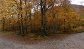 Percorso Marcia Saou - Grand et Petit Pomerolle - Forêt de Saoû - Photo 8