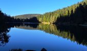 Excursión Senderismo La Bresse - VOSGES 2023 - Jour 1 - Le Lac aux Corbeaux - Photo 3