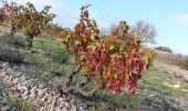 Trail Walking Leucate - plateau de leucat sud-est sans grand route  - Photo 4