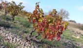 Tour Wandern Leucate - plateau de leucat sud-est sans grand route  - Photo 4