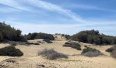 Tocht Stappen San Bartolomé de Tirajana - Les dunes de Maspalomas (Gran Canaria) - Photo 12