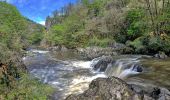 Trail On foot Saint-Mesmin - Boucle du Gabourat - Photo 1