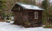 Trail Walking Le Ménil - Grande boucle au départ des chalets de la Feigne sur de l'Eau - Photo 8