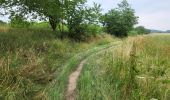 Tour Wandern Marche-en-Famenne - marche en famenne 280623 - Photo 12