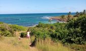 Tocht Stappen Le Vauclin - Petite Anse Macabou - Pointe Marée - Photo 8