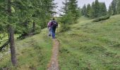 Trail Walking Roubion - COUIOLE A MOULINES A/R - Photo 15