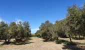 Tour Wandern Mouriès - mouries. j.f  marie - Photo 6