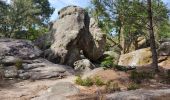 Randonnée Marche Fontainebleau - Le mont aigu  - Photo 5