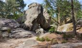 Percorso Marcia Fontainebleau - Le mont aigu  - Photo 5