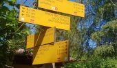 Tocht Stappen La Chaux-du-Dombief - tours des 4 lacs - Photo 2