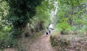 Tour Wandern Betanzos - 2024 Camino Ingles 5 - Photo 1