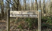 Tour Wandern Louviers - 20220226-Louviers  - Photo 2