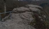 Percorso Marcia Bouillon - Laddertjeswandeling-Poupehan-Cretes de Frahan - Photo 9