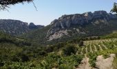 Trail Walking Gigondas - gigondas - Photo 5