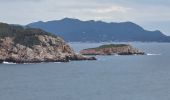 Excursión Senderismo Bandol - Bandol à Port d’Alon, retour par les Engraviers - Photo 3