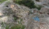 Percorso Marcia Tolone - Boucle des deux forts du Faron - Photo 10
