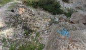 Trail Walking Toulon - Boucle des deux forts du Faron - Photo 10