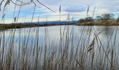 Tour Wandern Fréjus - étangs de Villepey - Photo 13