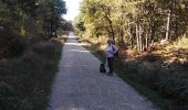 Trail Walking Canéjan - lestonnat - Photo 4