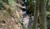 Trail Walking Ohey - Variante petit pont bois d’Ohey - Photo 2