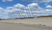 Percorso Corsa a piedi Fouesnant - Des dunes à la mer blanche - Photo 12